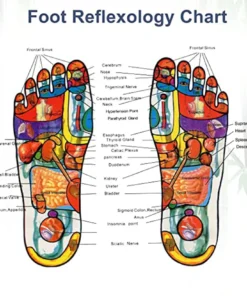 Detox Foot Pads with Ginger & Salt – 10pcs (White, Free Size) 2 05 05dfc75e 26f3 4840 9fe8 f90c9adb8f53